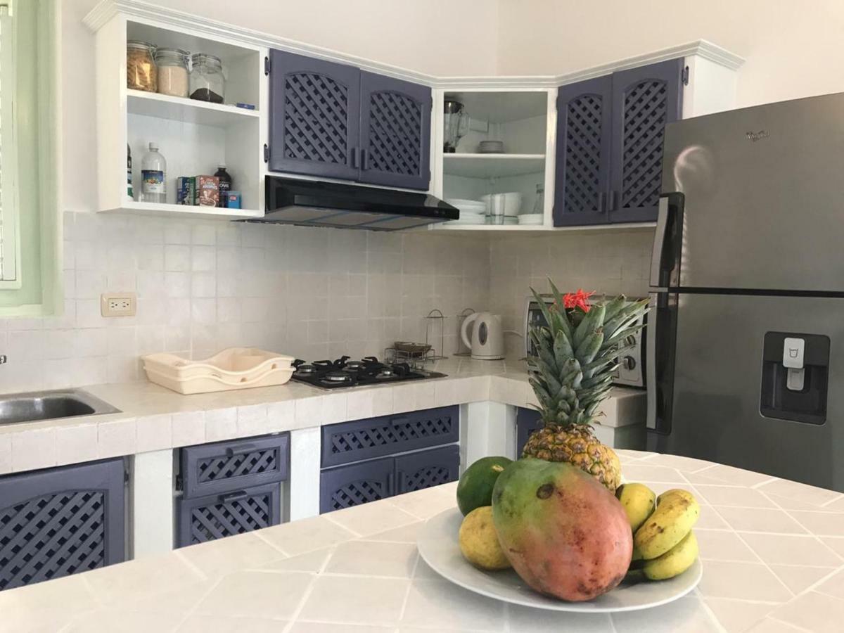 Little Paradise In Middle Of Beautiful Beaches! Las Terrenas Exterior foto